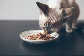 Cat Food Tuna