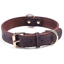 Pet Collar Leather