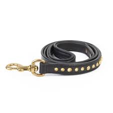 Dog Leash Leather