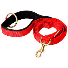 Dog Leash Nylon